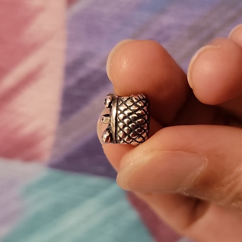 Pandora picnic basket charm